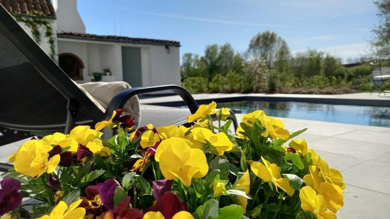 Chambres D'Hotes - Au Clos D'Amande Lasne Esterno foto