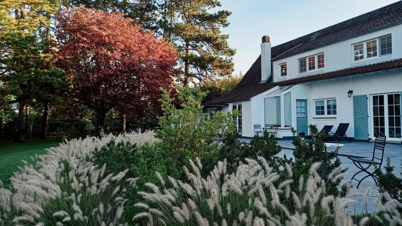 Chambres D'Hotes - Au Clos D'Amande Lasne Esterno foto