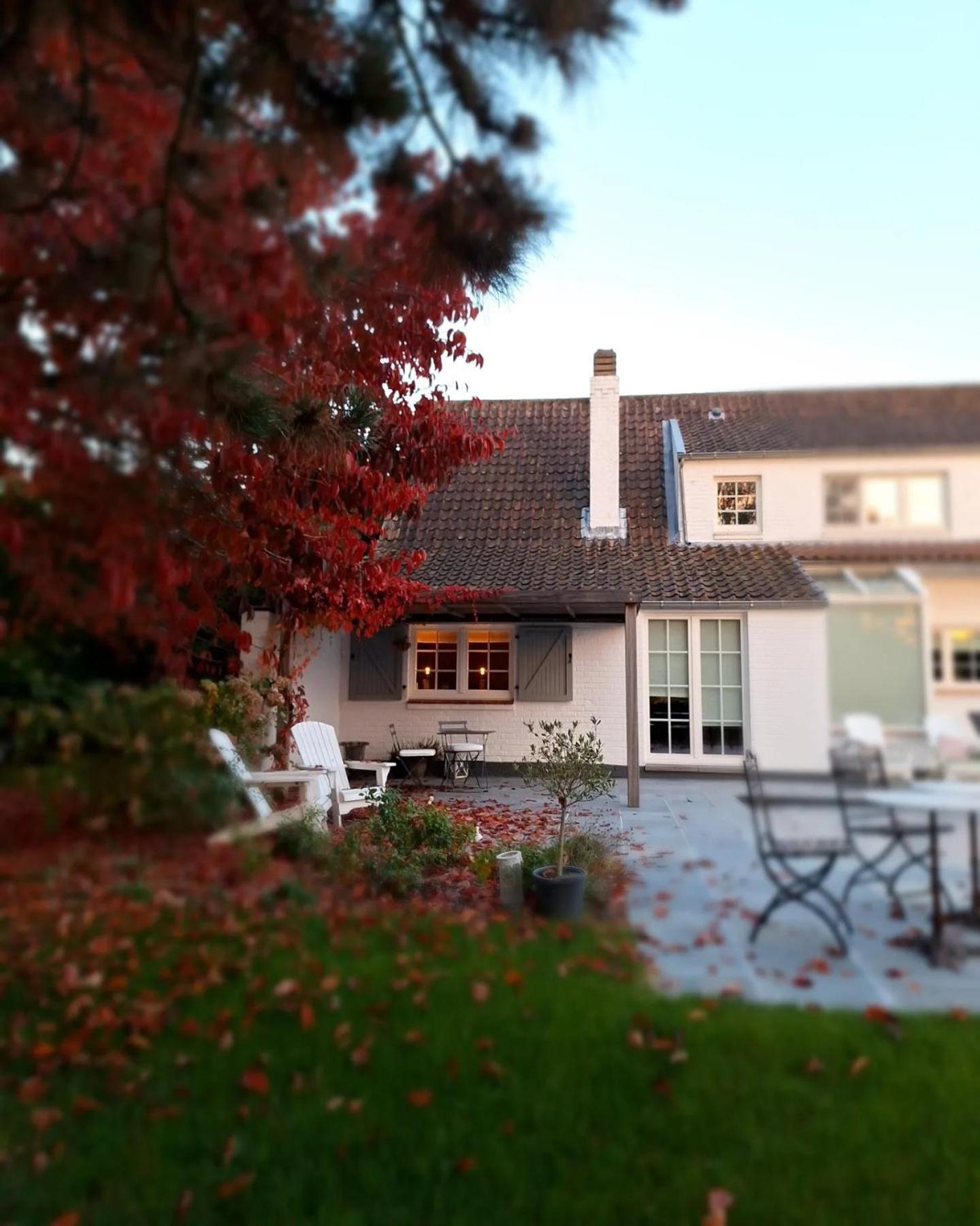 Chambres D'Hotes - Au Clos D'Amande Lasne Esterno foto
